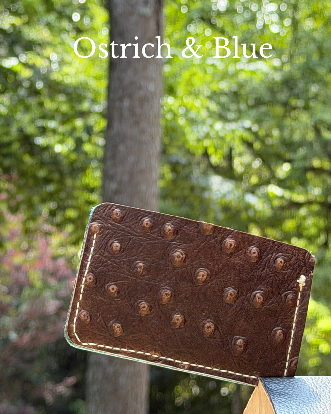 Three Oaks Leather Cardholder