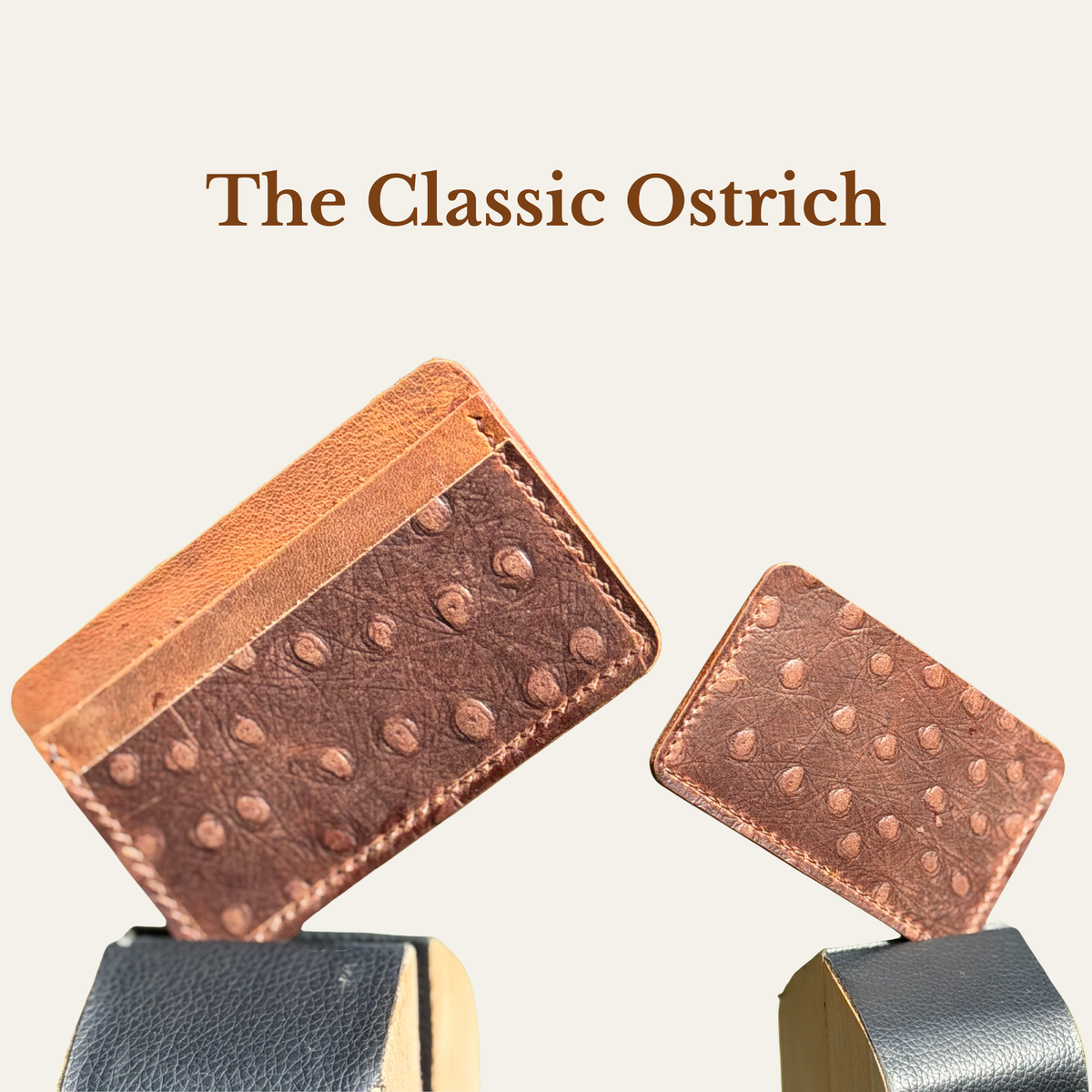 The Ostrich Collection Cardholder