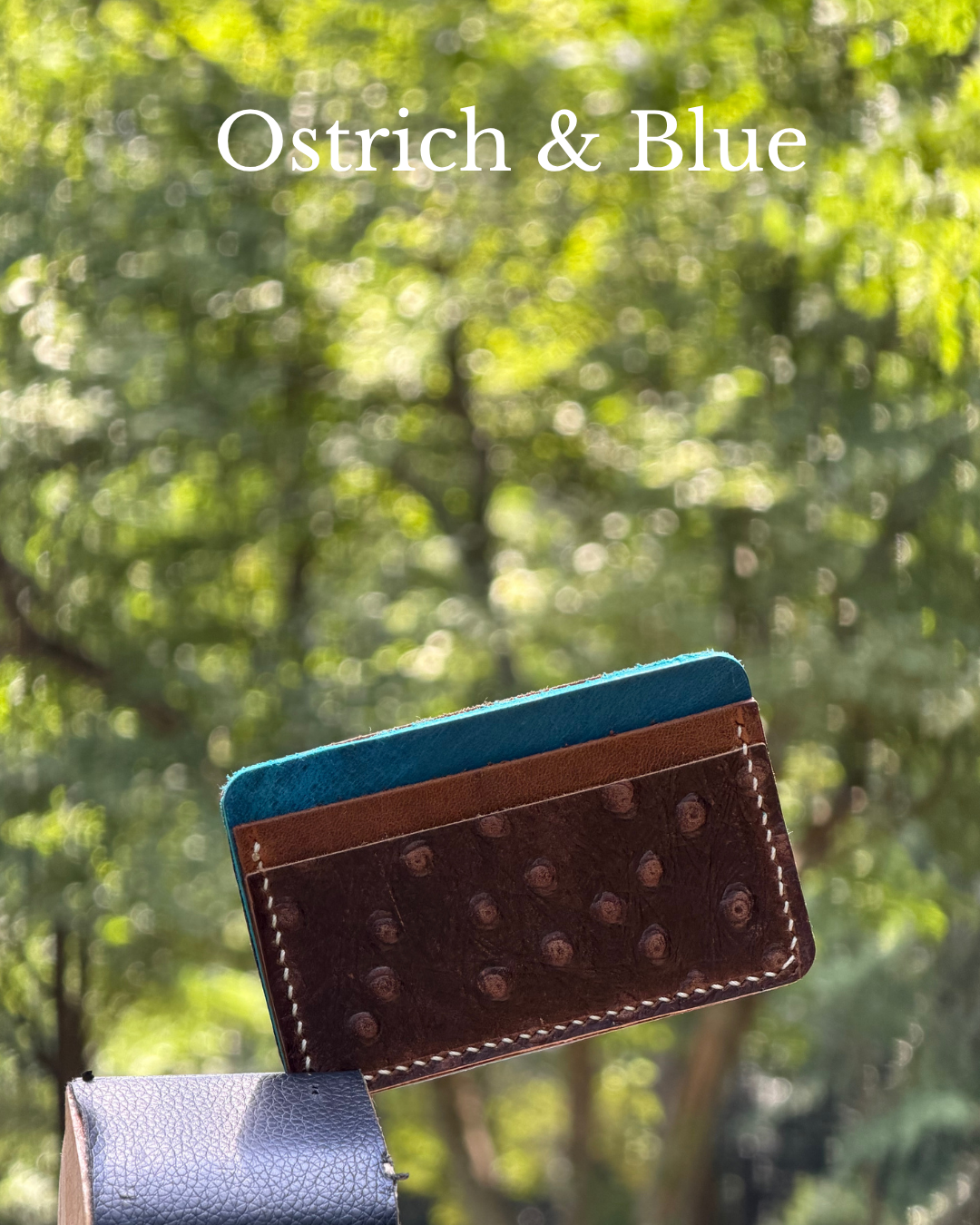 Three Oaks Leather Cardholder