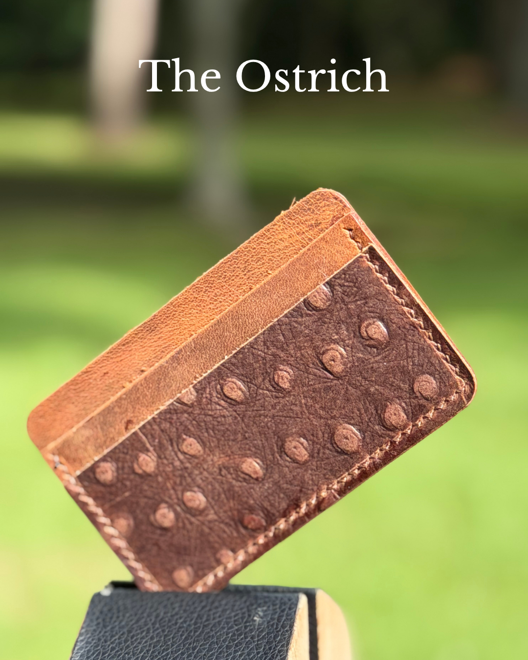 Three Oaks Leather Cardholder