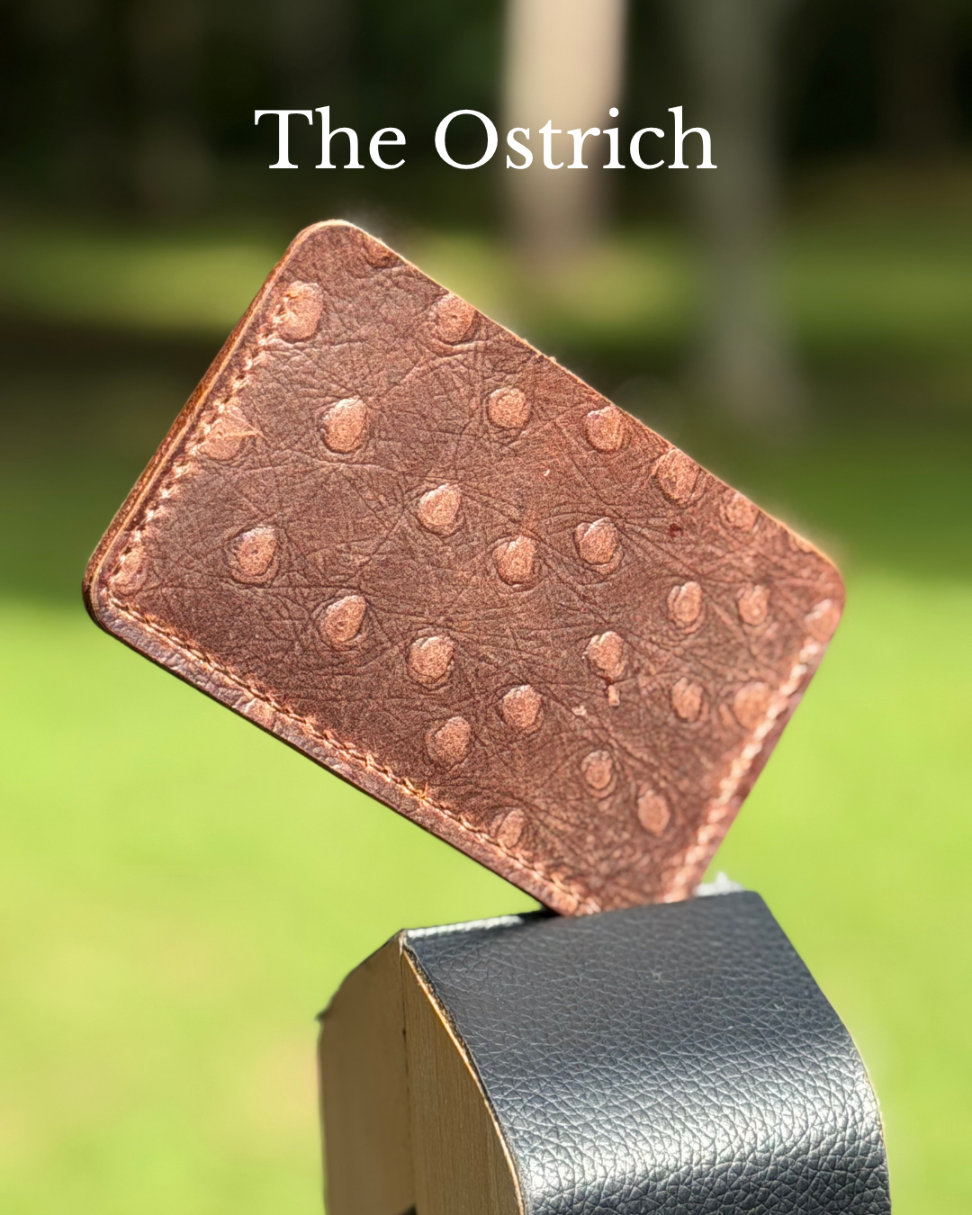 Three Oaks Leather Cardholder